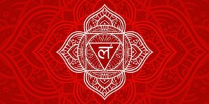 Chakra N.1: ¿Cómo equilibrar el chakra raíz?